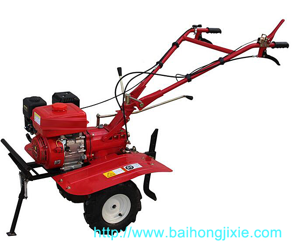 在线看片的网站